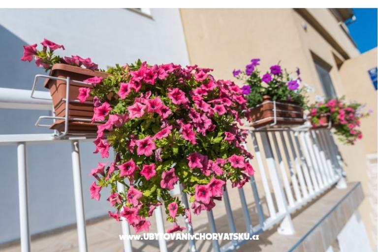 Apartmaji Galeb – foto 3