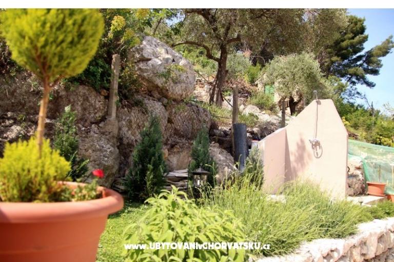 Apartmaji Vale – foto 12