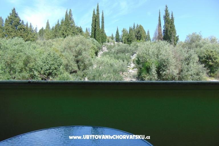 Apartmaji 7+ – foto 11