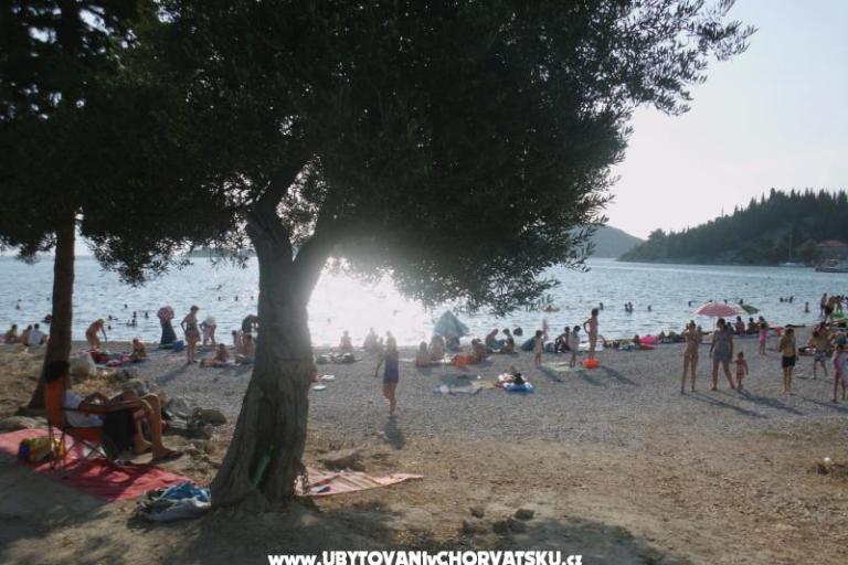 Apartmaji  Petar – foto 4
