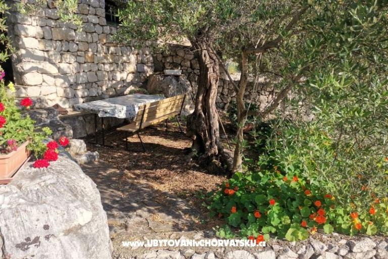 Apartmaji Maja – foto 19