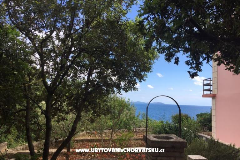 Apartmaji Kraljević – foto 18