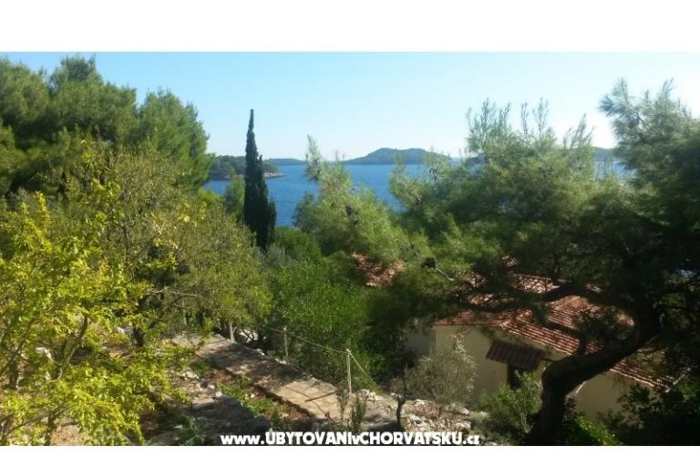 Pera Apartmaji – foto 18