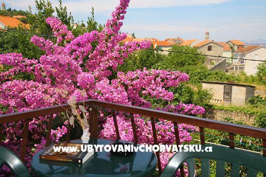 Apartma Vladimir *** – foto 6