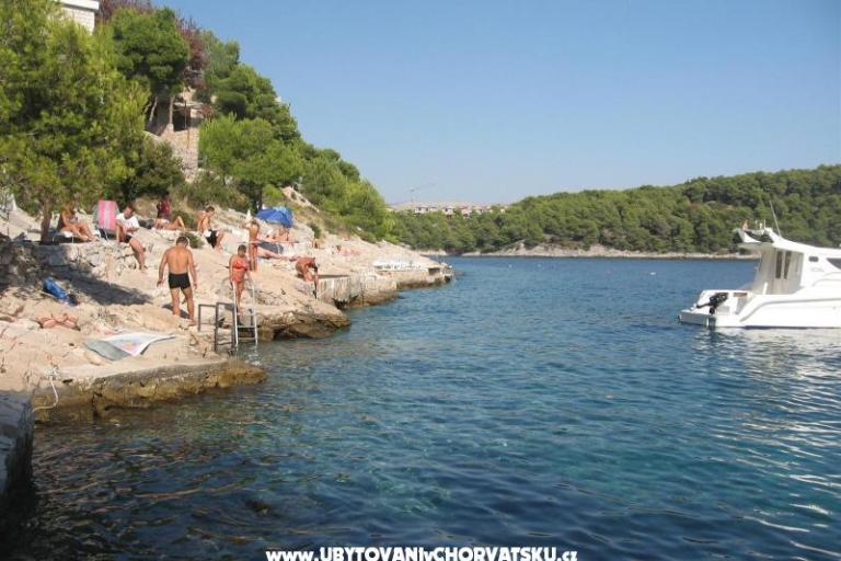 Apartmaji Bili Milna Osibova – foto 7