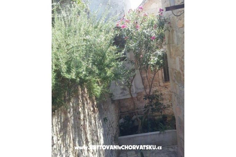 Apartmaji Gorka – foto 15