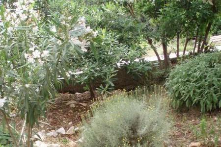 Apartmaji Nada – foto 12