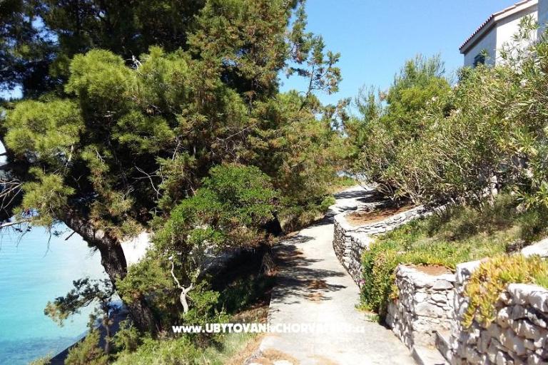 Apartmaji Sv. Ana – foto 4