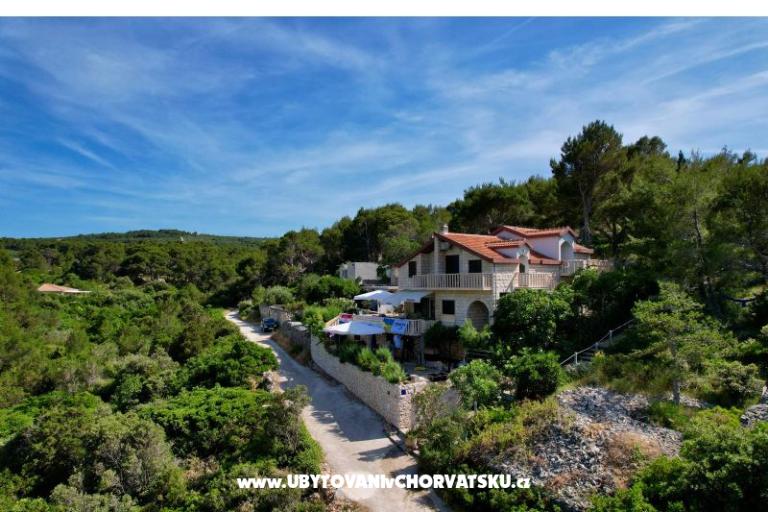 Apartmaji Villa Dragica – foto 5