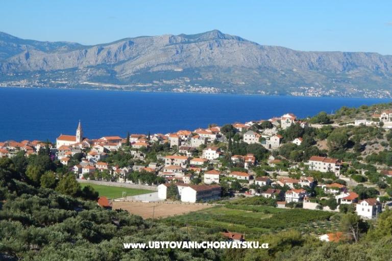 Apartmaji  " Neppa " – foto 15