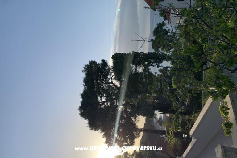 Apartma Luš – foto 10