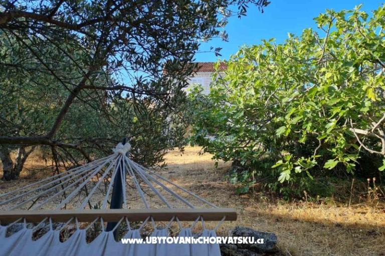 Garden Hiša Sutivan – foto 6
