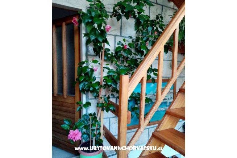 Hiša Ankica – foto 13