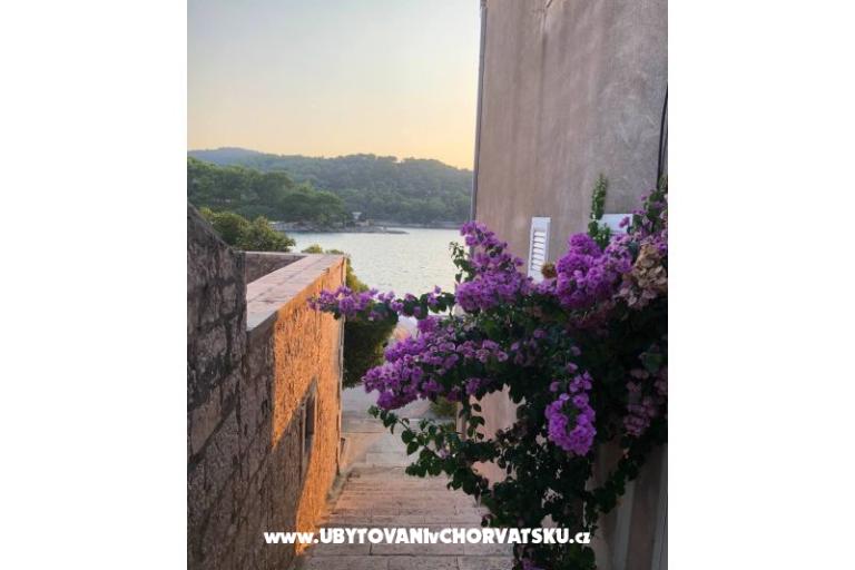 Hiša Ankica – foto 21