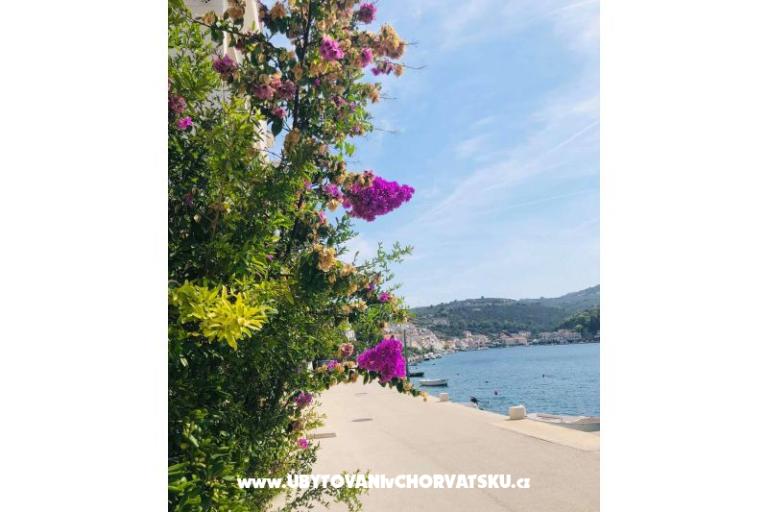 Hiša Ankica – foto 23
