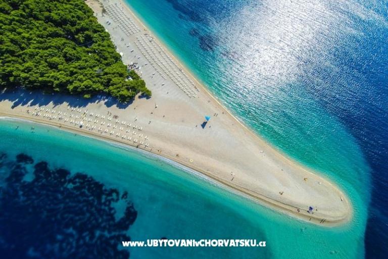 Hiša Bongovila – foto 13