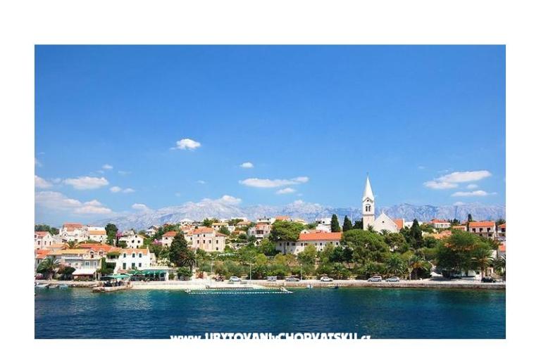 Hiša Bongovila – foto 2