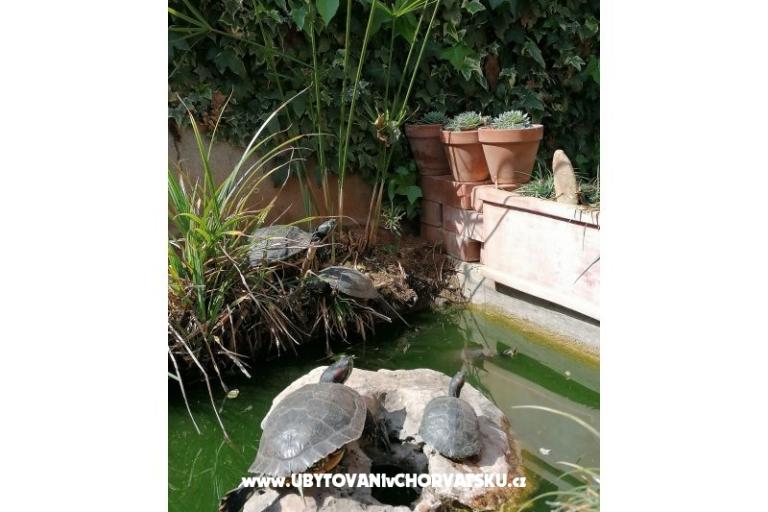 Apartmaji Vesna – foto 12