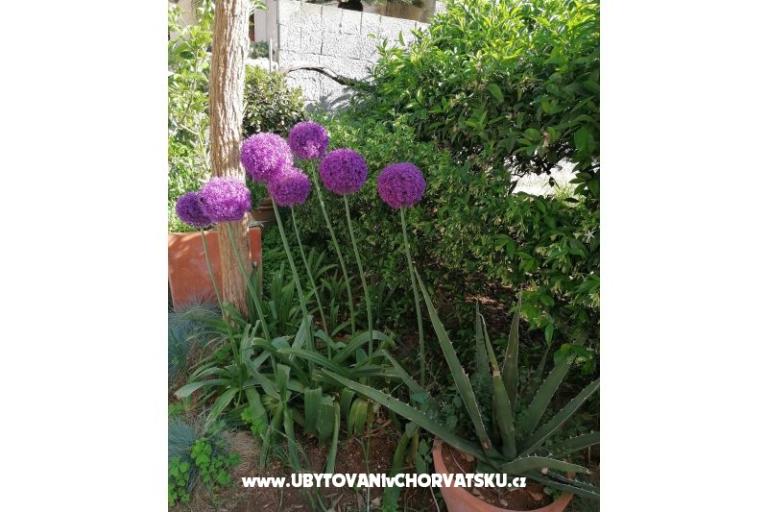 Apartmaji Vesna – foto 23