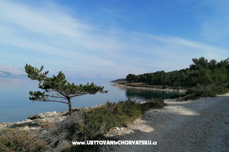 Apartmaji Vesna – foto 24