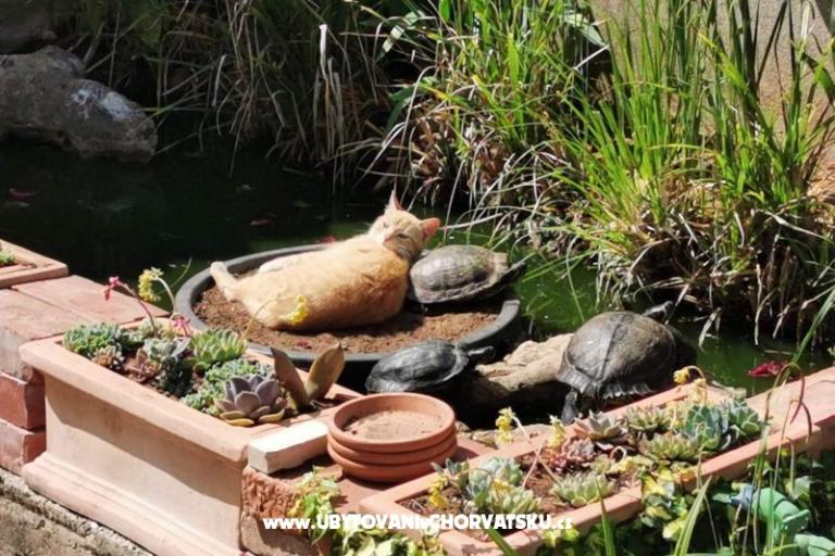 Apartmaji Vesna – foto 29