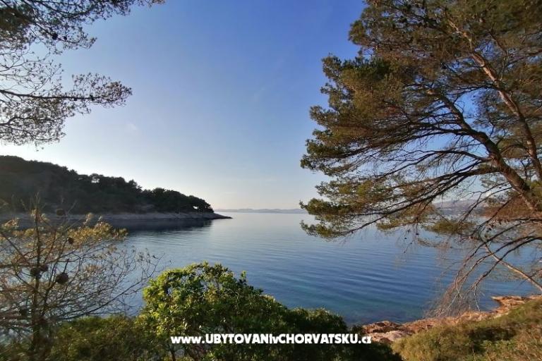 Apartmaji Vesna – foto 30