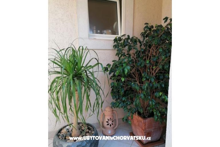 Apartmaji Vesna – foto 34