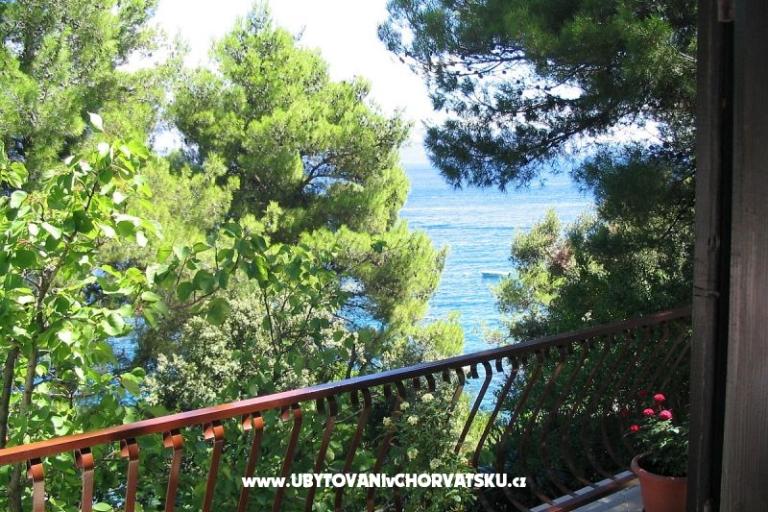 Sea Hiša – foto 16