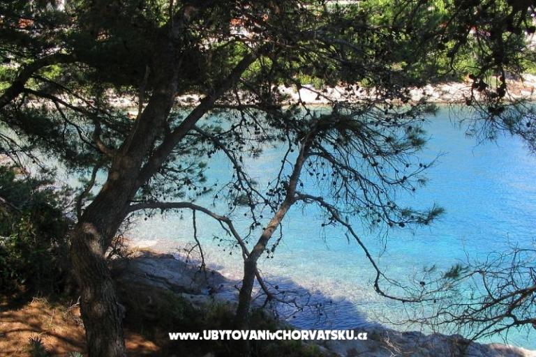 Sea Hiša – foto 17