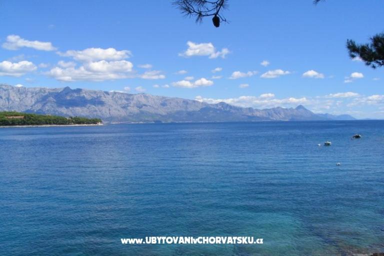 Sea Hiša – foto 18