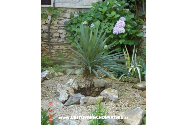 Vila Blanka Sutivan – foto 5