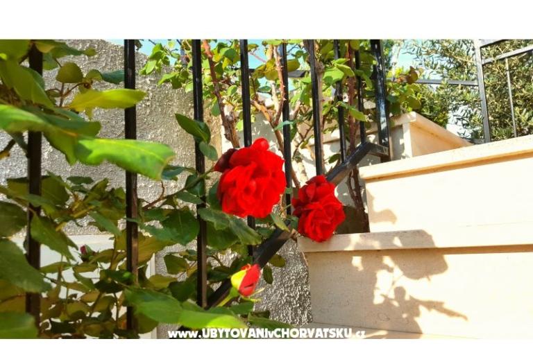 Apartmaji Bezma – foto 3