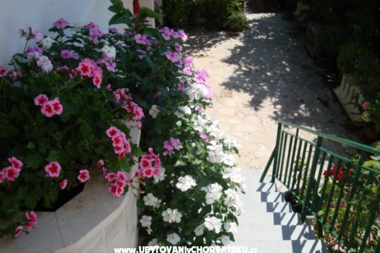 Apartma Nada Žamić – foto 7