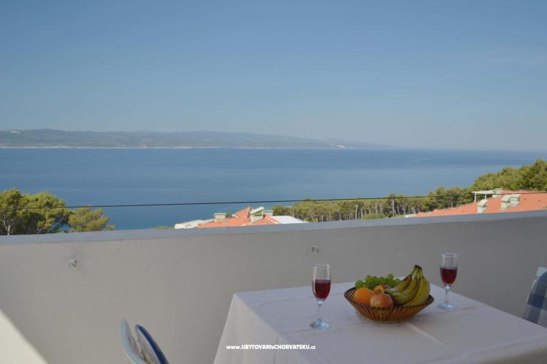 Apartmaji Jovic – foto 6