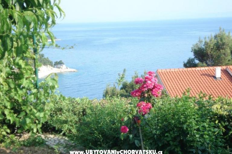 Apartmaji LU-KA – foto 4