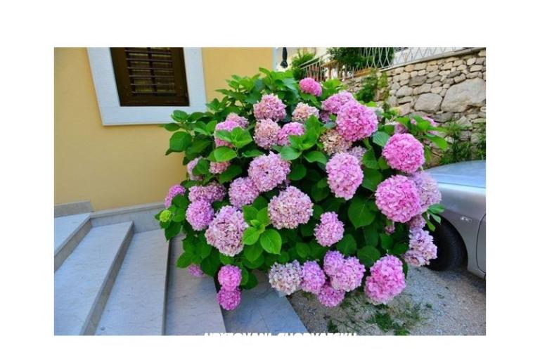 Apartmaji Perla – foto 14