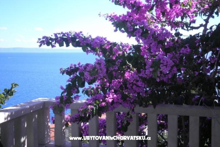 Apartmaji Perla – foto 15