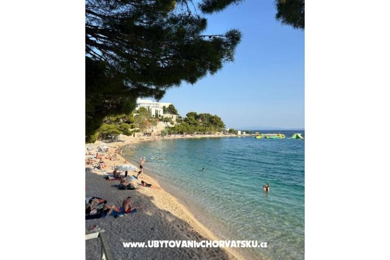 Apartmaji Skrabic – foto 41