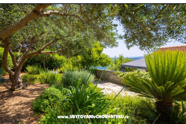 Apartmaji Villa Porat – foto 4