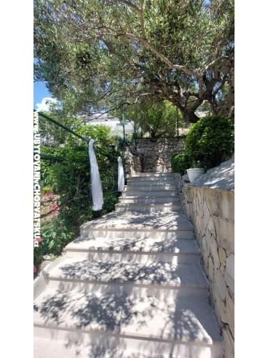Apartma Renata – foto 20