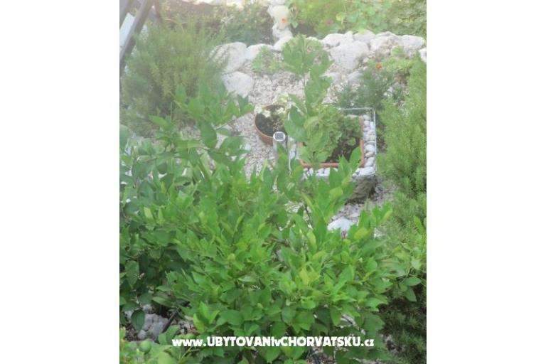 Apartmaji  Ivo Pikolo – foto 18