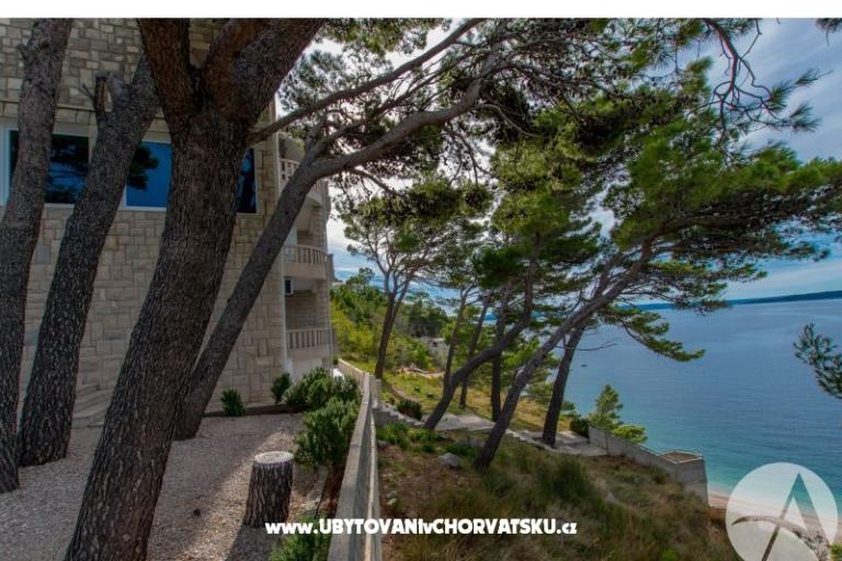 Beachview Apartmaji/Free parking – foto 9