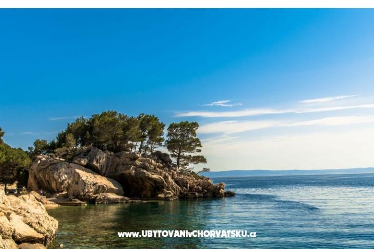 BRMARIN – foto 10