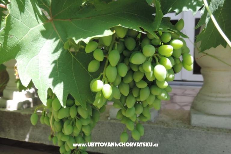Hiša Željko i Marija – foto 13