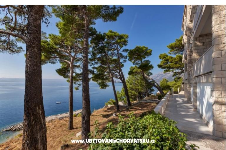 Pine Canopy Studios and Apartmaji – foto 16
