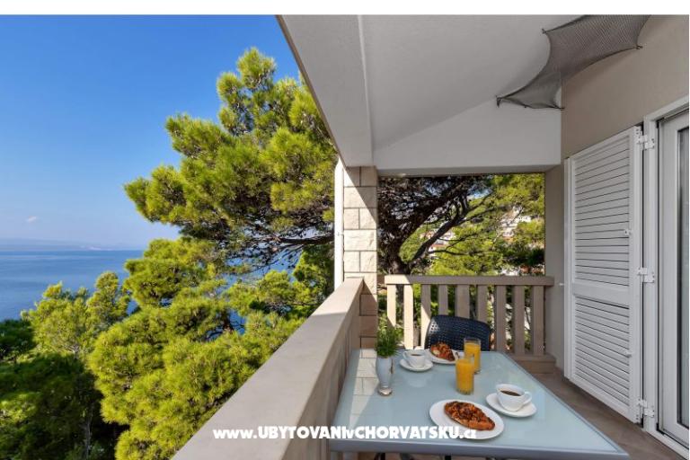 Pine Canopy Studios and Apartmaji – foto 17