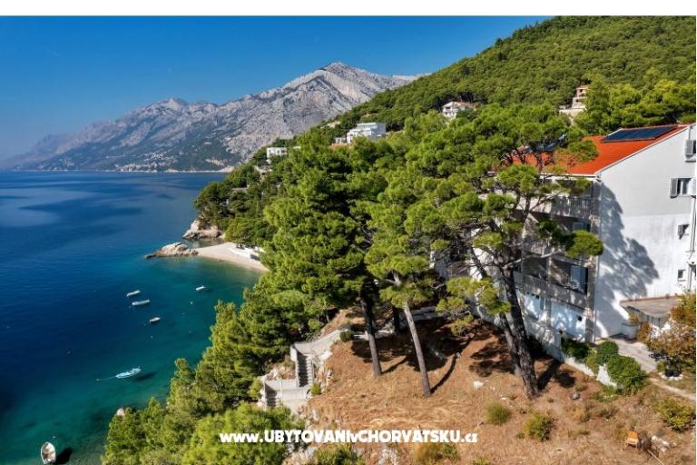 Pine Canopy Studios and Apartmaji – foto 2
