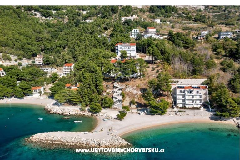 Pine Canopy Studios and Apartmaji – foto 5