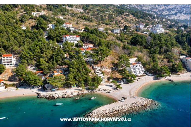 Pine Canopy Studios and Apartmaji – foto 6