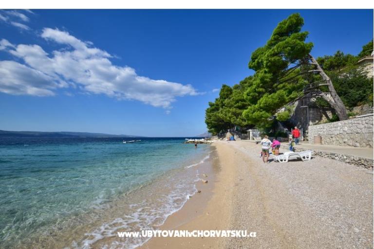 Apartmaji Mare – foto 10